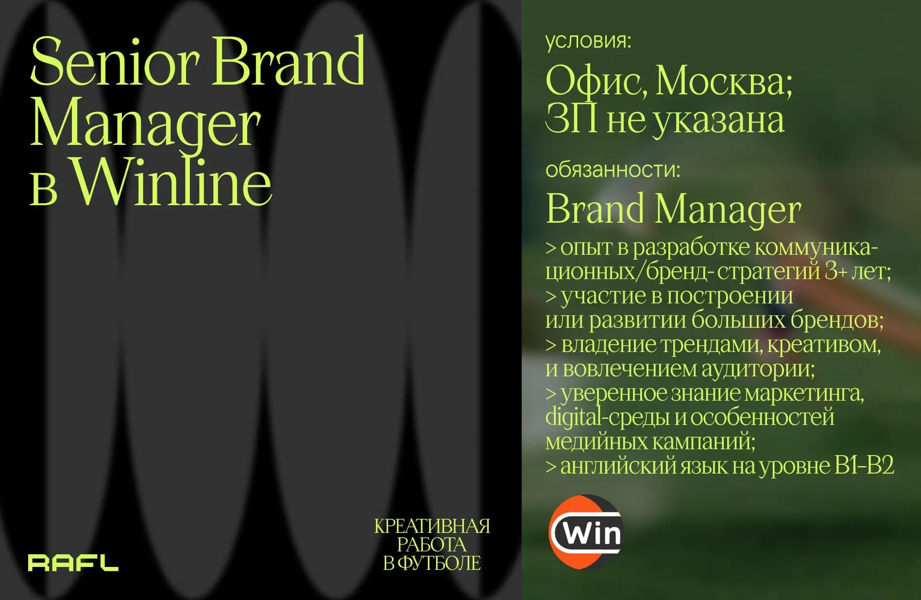 Заглавное фото статьи - Senior Brand Manager