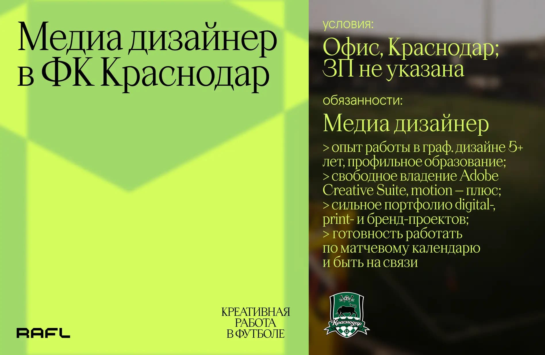 Заглавное фото статьи - Медиа дизайнер