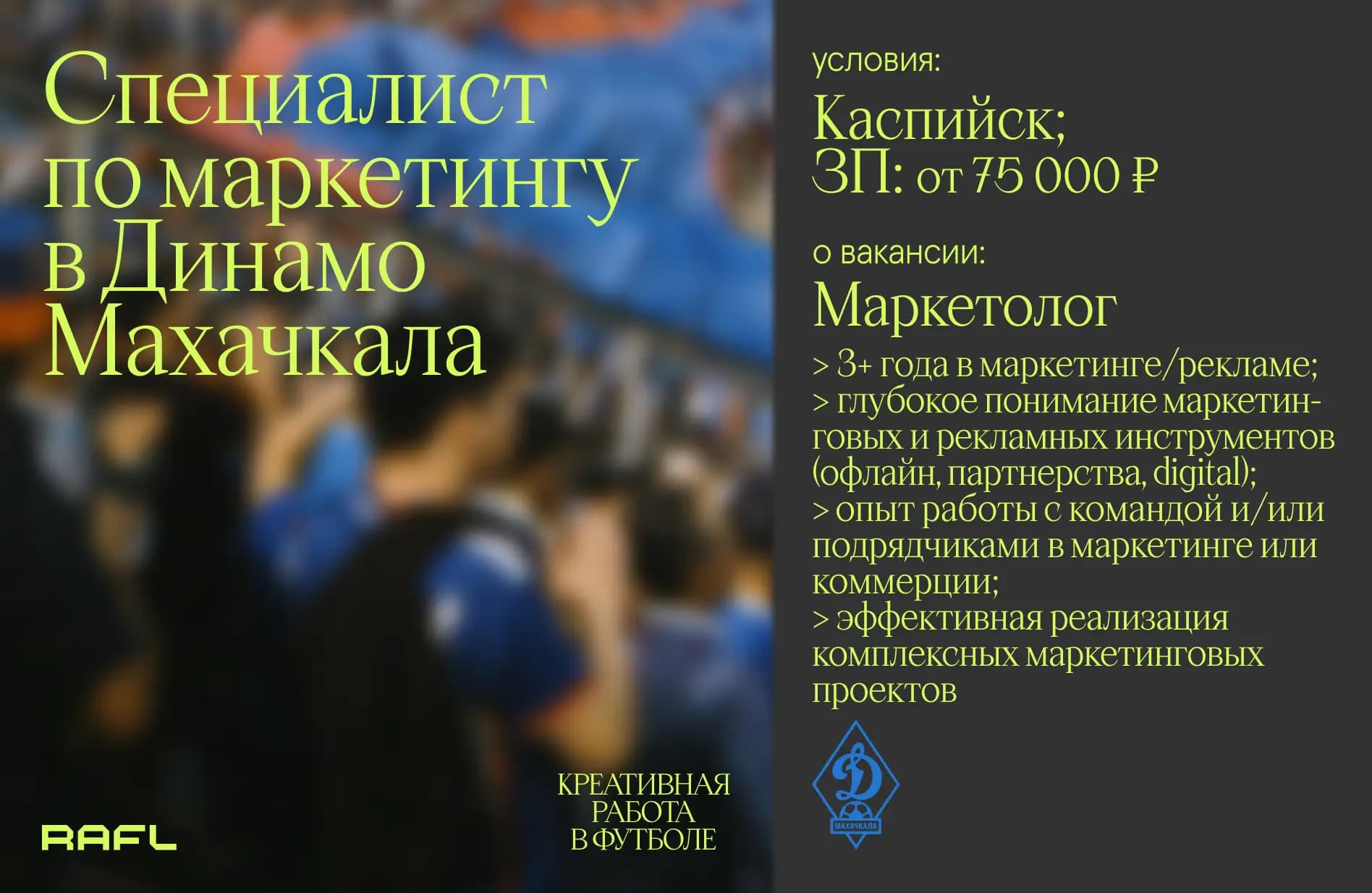 Заглавное фото статьи - Специалист по маркетингу