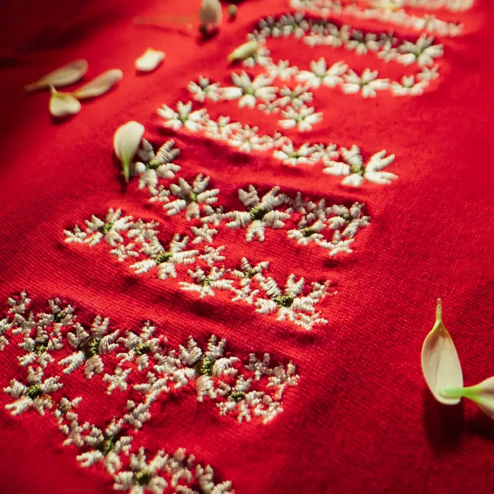 Фото: ФК "Акрон"