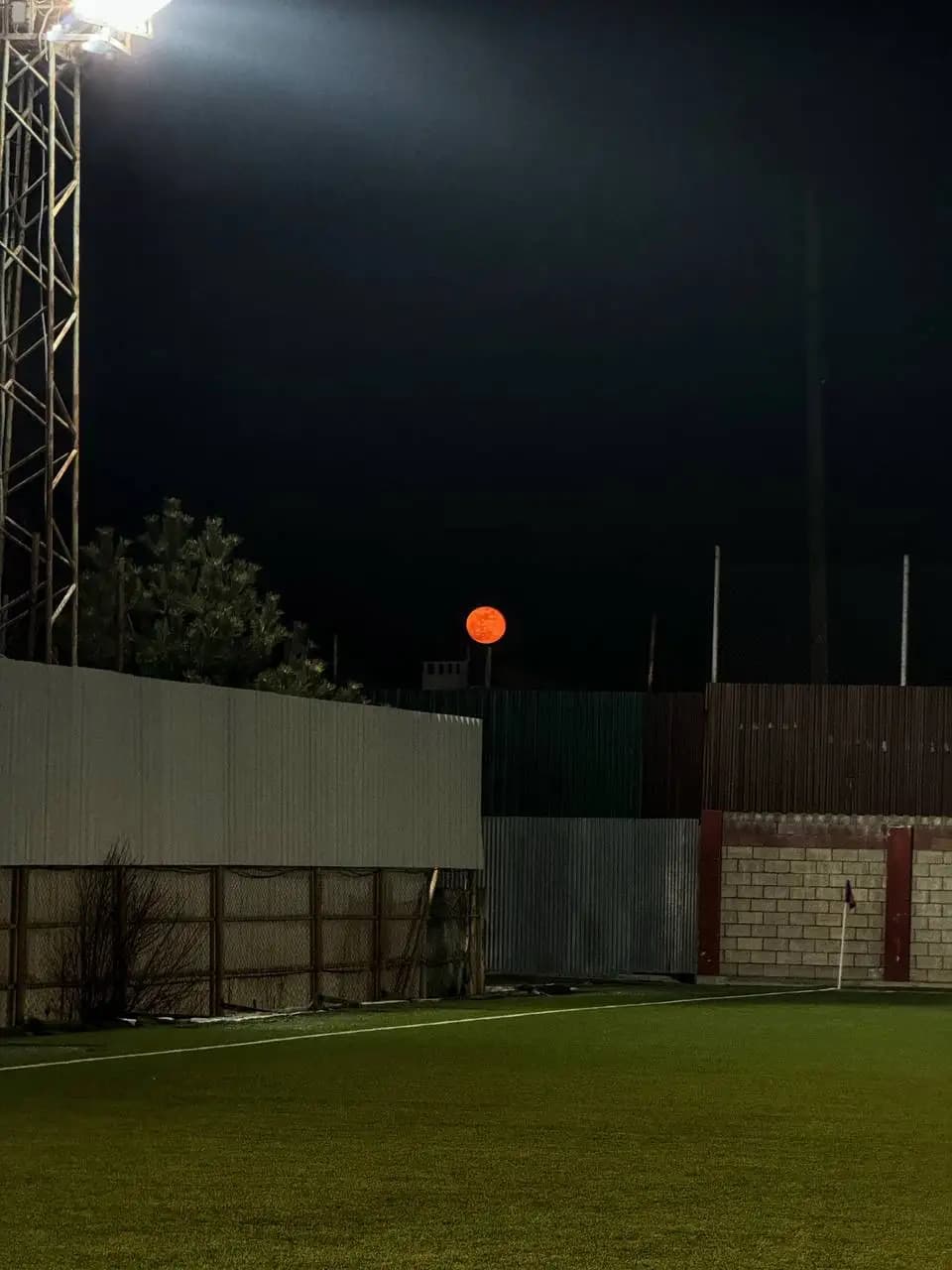 Фото: Валерия Алешичева