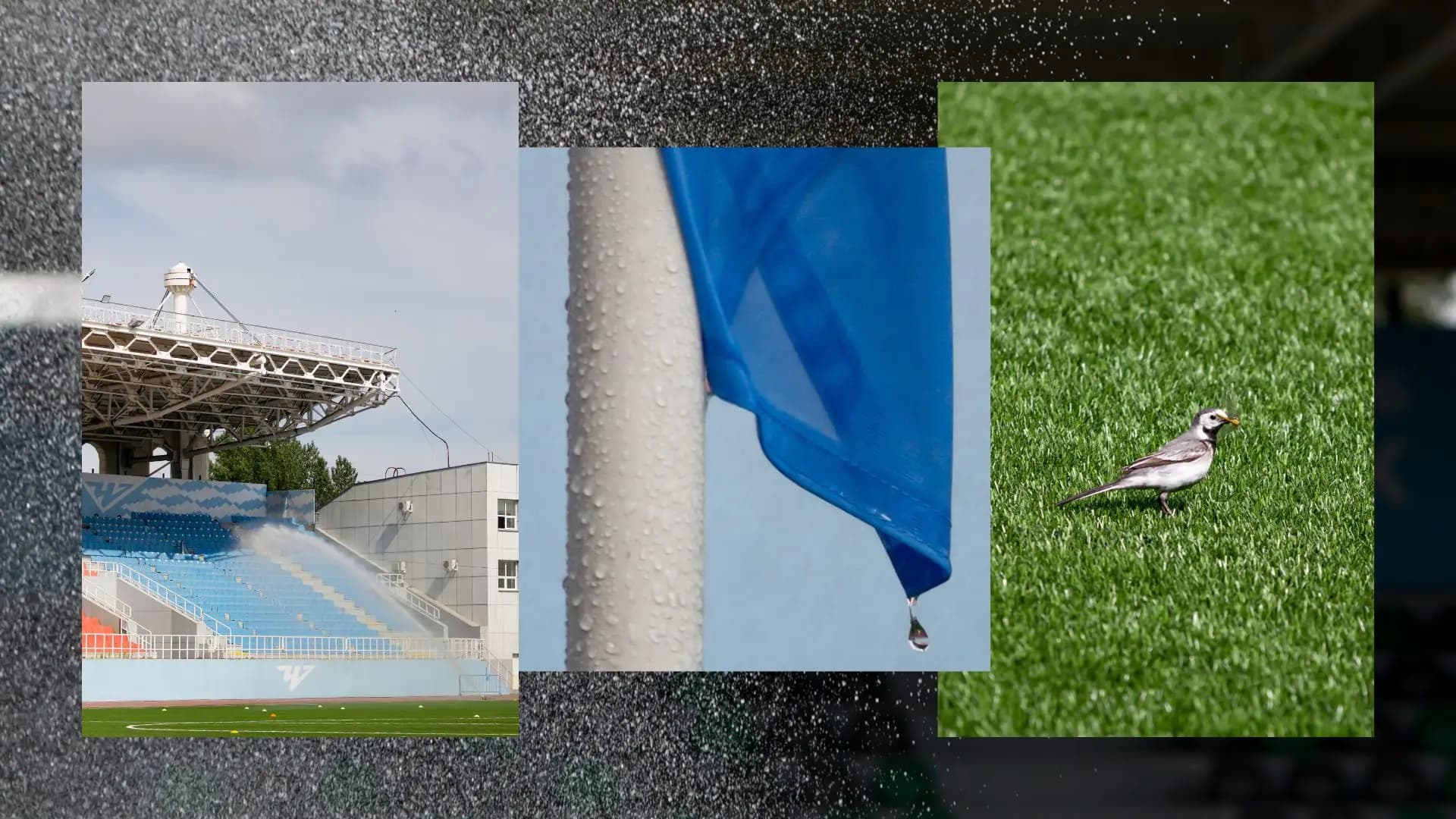 Детали стадиона Центральный Челябинск